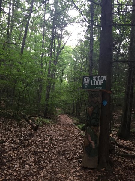 Green Loop Trailhead