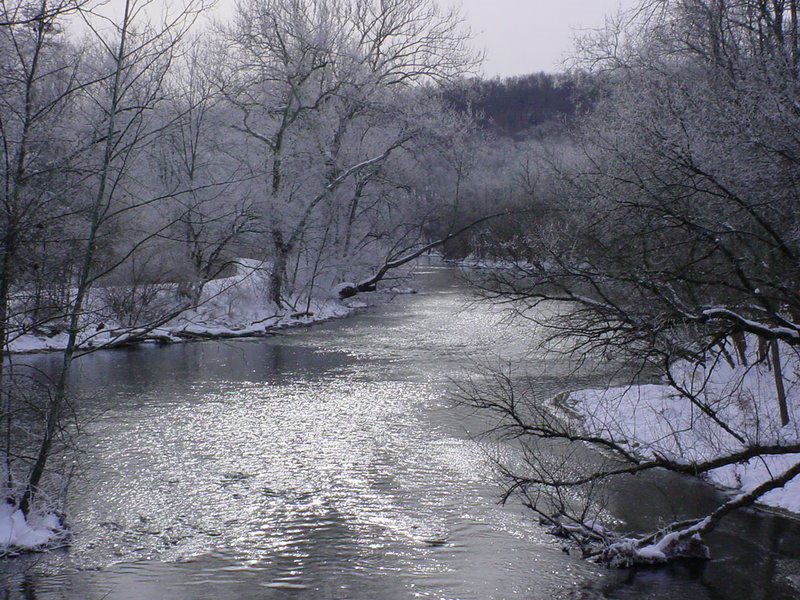 Stream along Union Canal Path in winter.