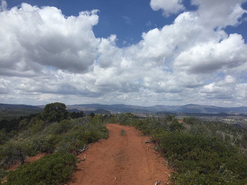 Zion Red Loop - wide open trail.