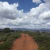 Zion Red Loop - wide open trail.