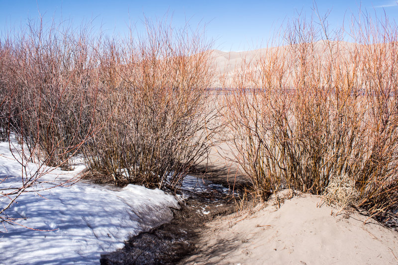 A short cut out to the dunes.