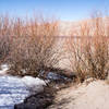 A short cut out to the dunes.