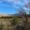 On the trail to Medano Creek.