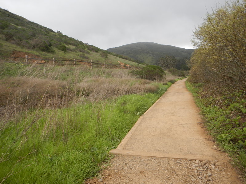 Heading back toward the parking lot on the Tennessee Valley Trail.