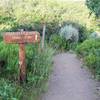 Oak Flat Trailhead