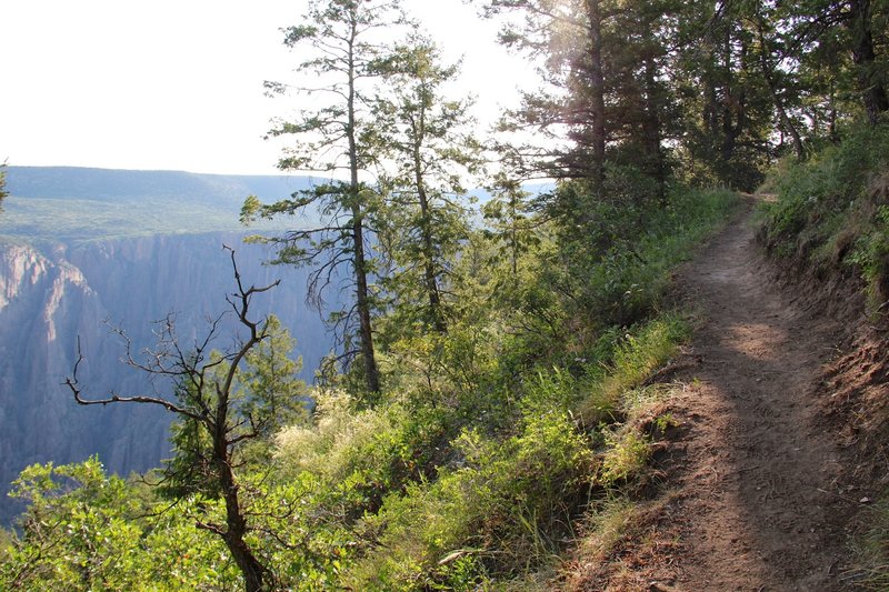 The view across the valley to cliffs, as seen from the Oak Flat Trail.