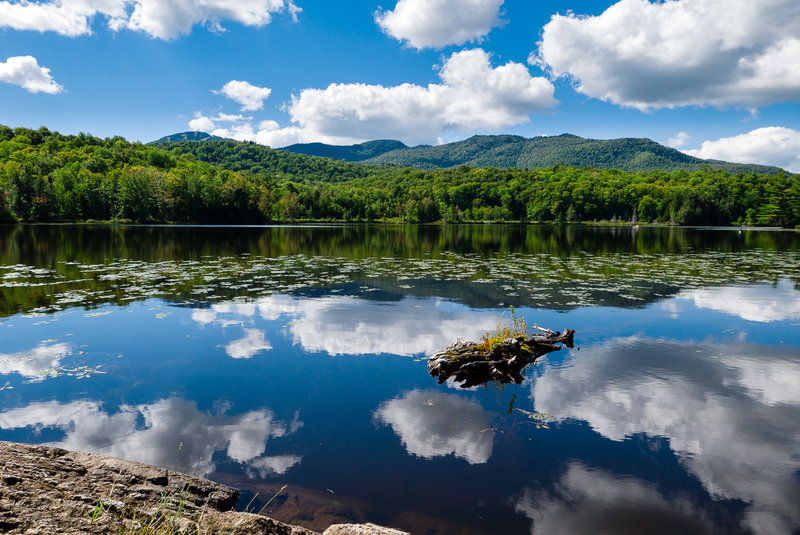 Cherry Pond (Etang aux cerises)