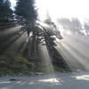 Rays of light make their way to Shi Shi Beach.