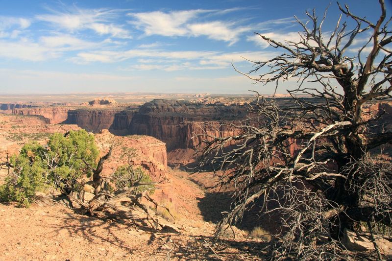 Incredible views are highlighted from the Aztec Butte Trail.