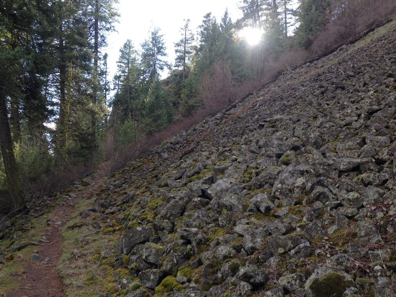 One of many scree fields in Riverside State Park.