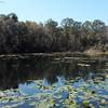 A view of Lake Ray, from the far side of the Lake Loop.