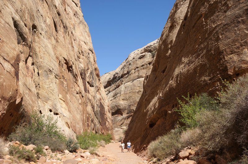 Capitol Gorge