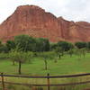 Orchards and Mountain