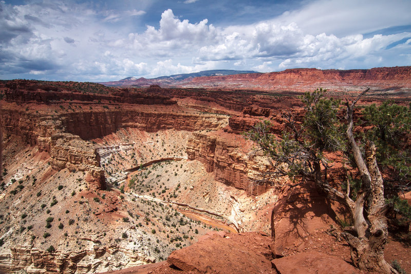 Panorama Point, Capital Reef.