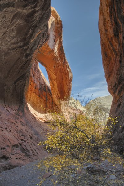 Another Arch on UMT Trail.