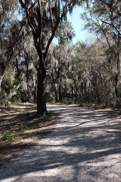 At the start of the Live Oak Trail. Behind me and to the left are some picnic tables, located under shade.