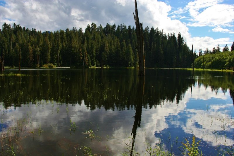 Irely Lake in late spring.