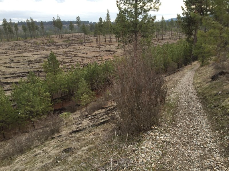 View heading south towards the burnout area.