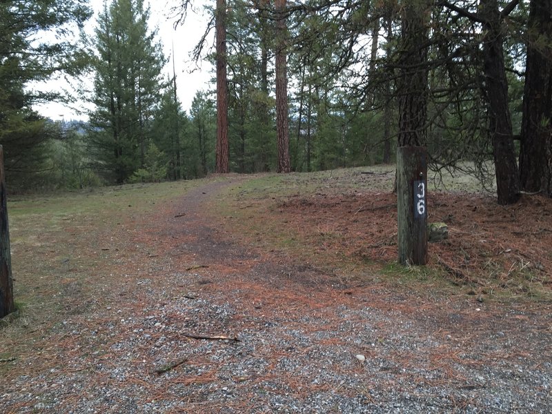 Crossing Centennial Trail to river connector.