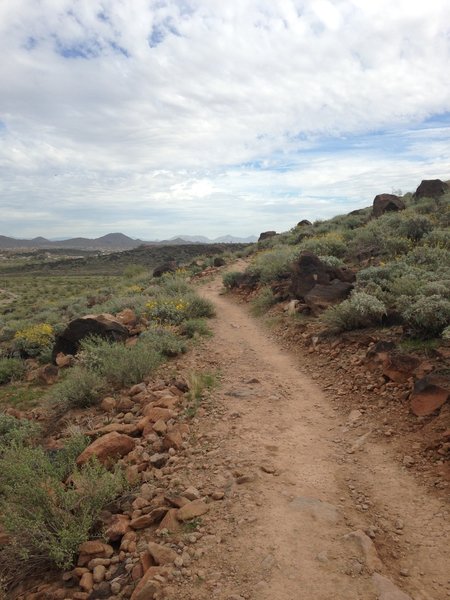 Circumference Trail after first climb.