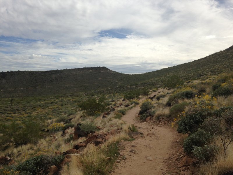 Circumference Trail looking south.