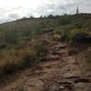 Heading up the Ridgeline Trail.