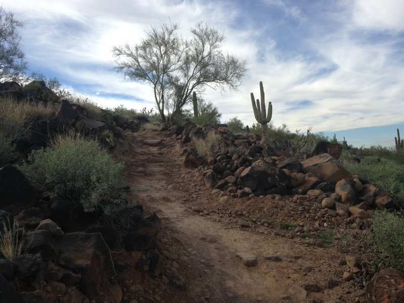 Third climb on Circumference Trail.