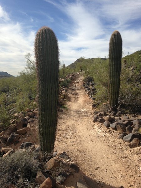 Last climb up the Circumference Trail.