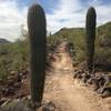 Last climb up the Circumference Trail.