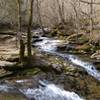 Between Evans Mill and Mill Pond Dam.