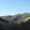 View from the trail of the surrounding hillside.