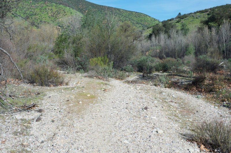 The trail as it runs through the old creek bed.