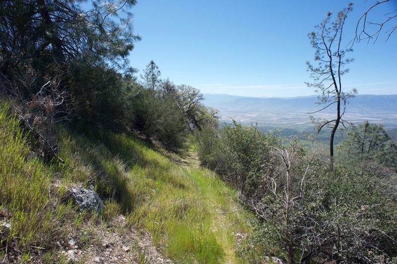 The trail gets narrow at this point and becomes less maintained.