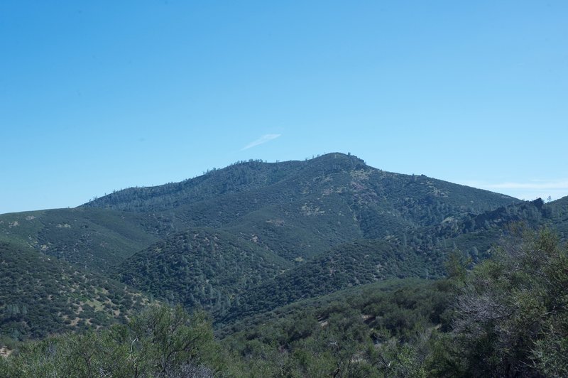 The hills are green in the spring thanks to the winter rains.