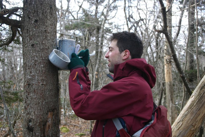 Canister on the top of Fir Mountain.