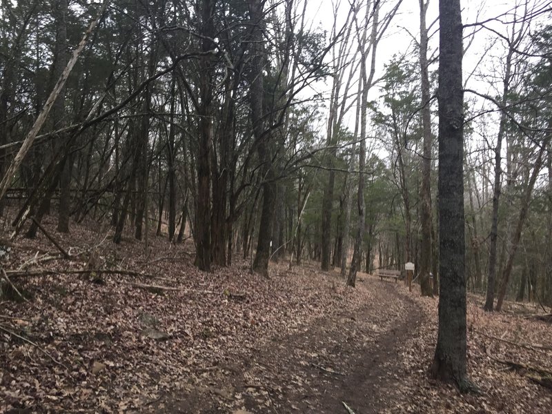 Black Trail and Blue Trail merging