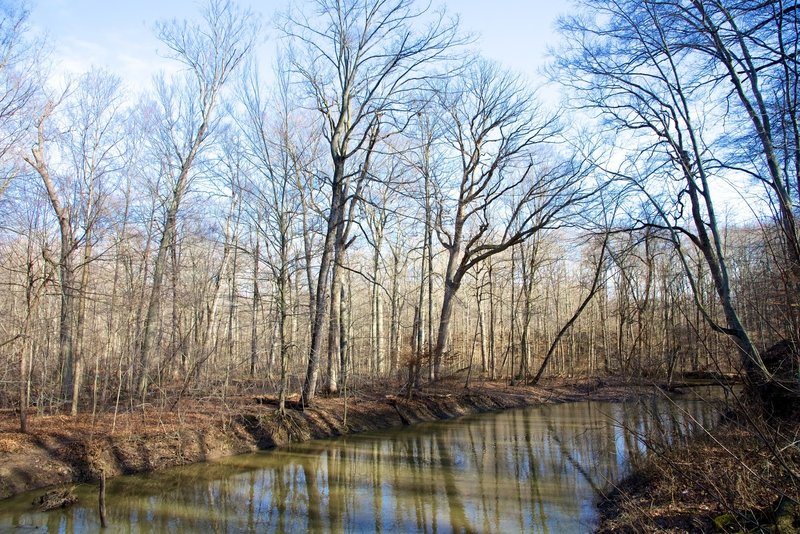 The Galien River.