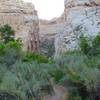 Box Canyon. Dinosaur National Monument.