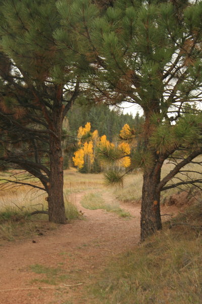 Beautiful scenery along Sawmill-Boulder Trail.