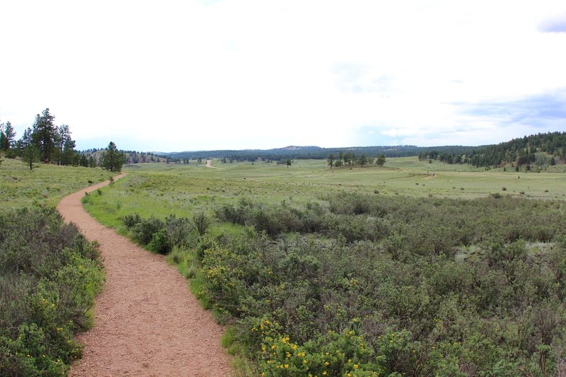 Through Petrified Forest Loop Trail.