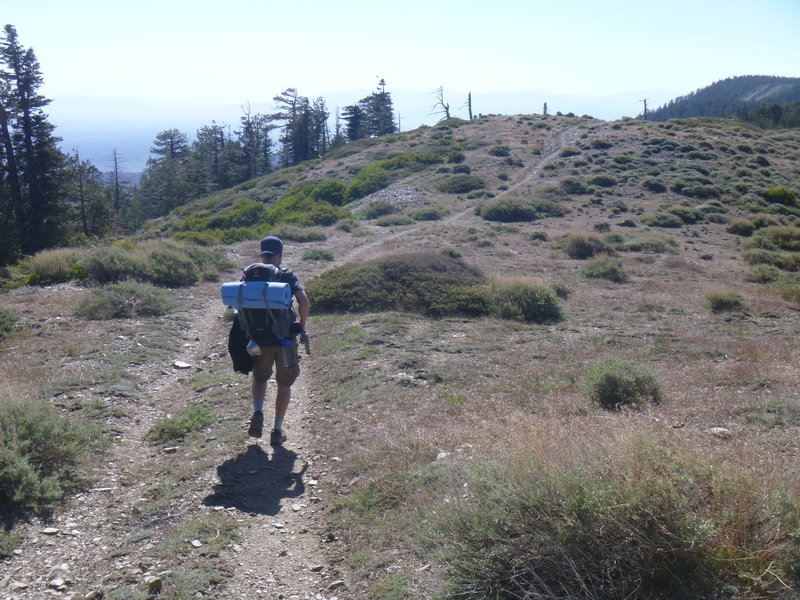 On PCT: Highway 15 to Agua Dulce.