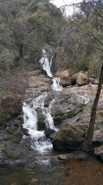 Codfish Falls.