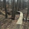 Boardwalk near MTB obstacle course.