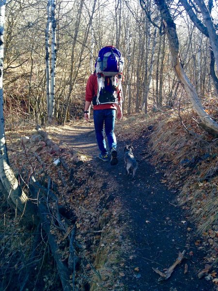 Spring hiking with the dog and kid.