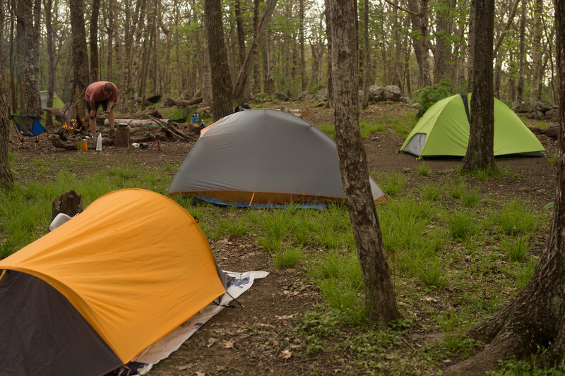 Backcountry campsite #13. A short walk to the bald.