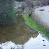 The creek in the winter.  There isn't a lot of water, but it provides a lot of nourishment for the surrounding vegetation.  There is a nice bridge to help cross the water.