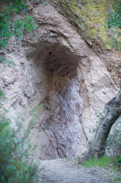 Tunnel in the trail.