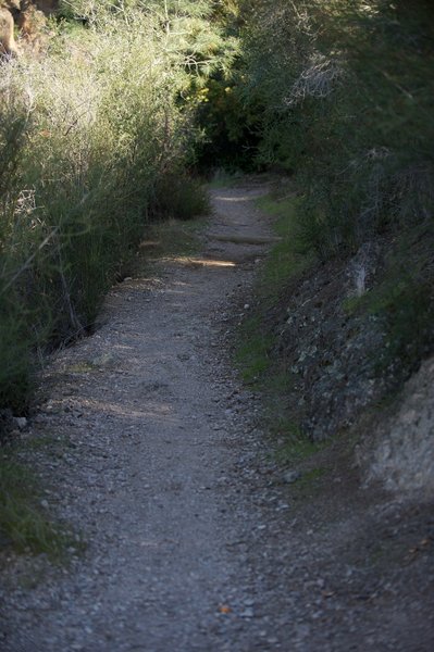 Juniper Canyon Trail as it climbs up the hill.