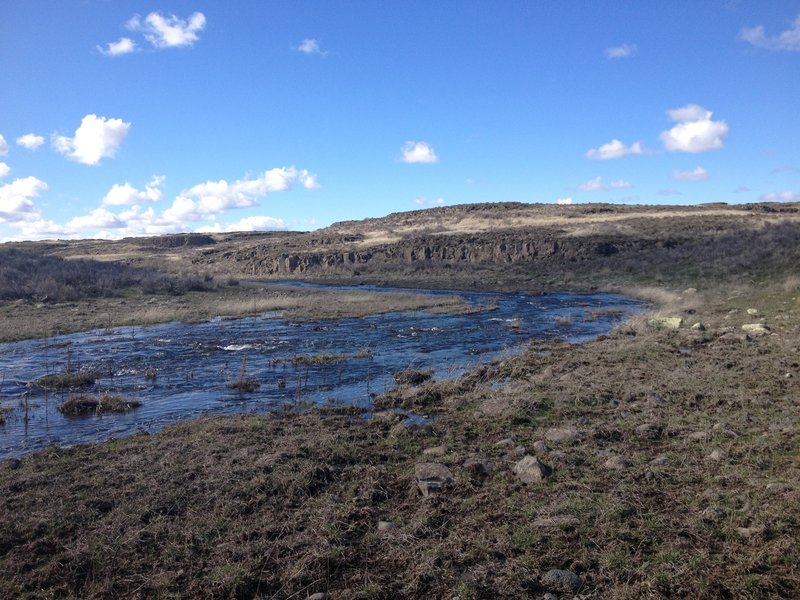 Crab Creek, with some basalt formations far in the distance.