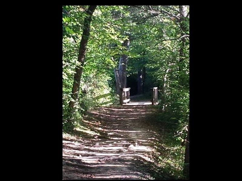 One of the many bridges found during a walk or run on the Buffalo Lake trail.